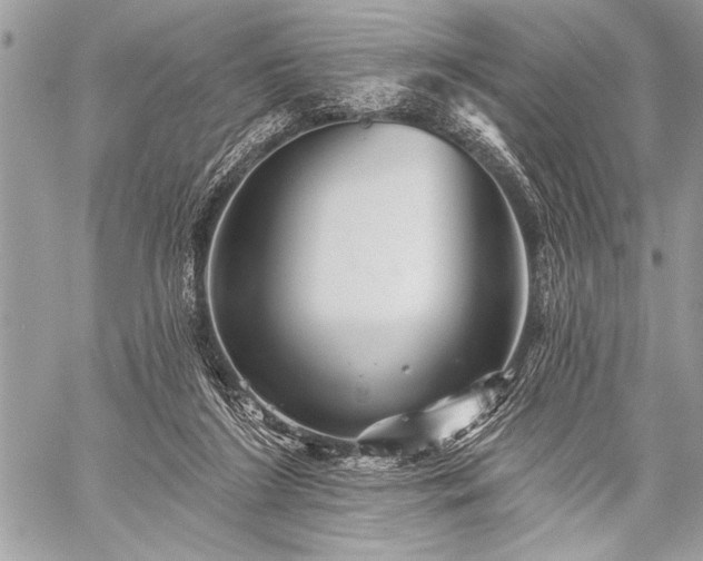 X0000059240212200510171440