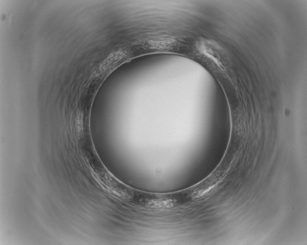 X0000059240213200510171440