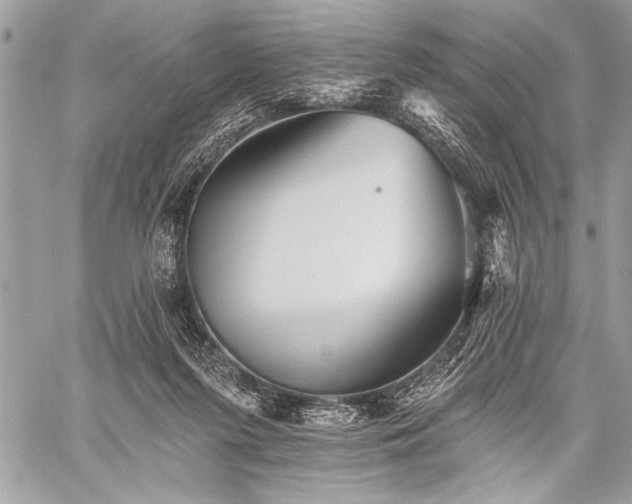 X0000059240215200510171440