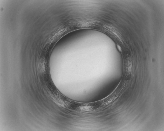 X0000059240216200510171440