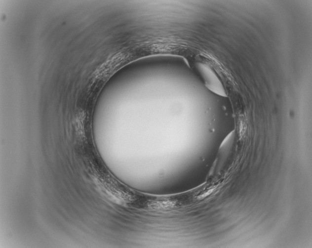 X0000059240217200510171440