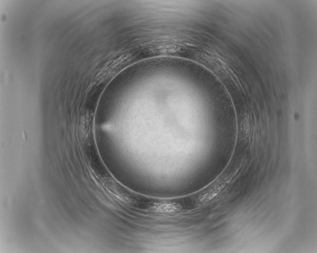 X0000059240218200510171440