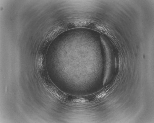 X0000059240219200510171440