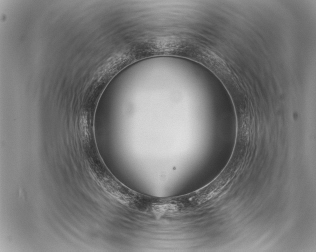 X0000059240220200510171440