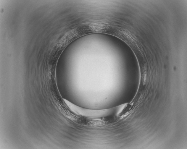 X0000059240221200510171440