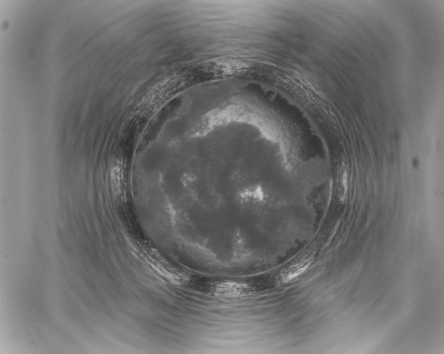 X0000059240222200510171440