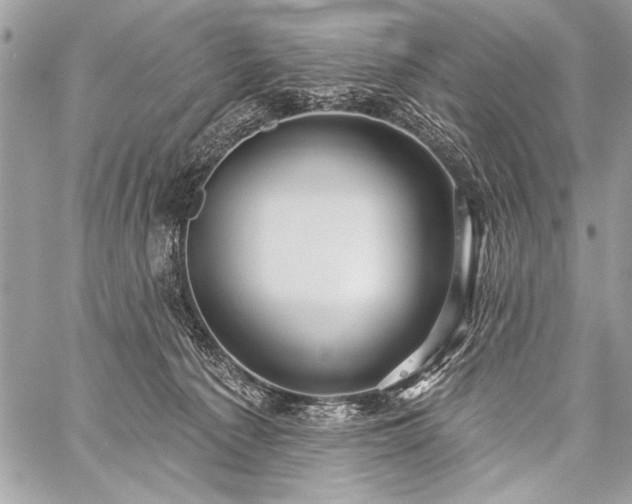 X0000059240225200510171440