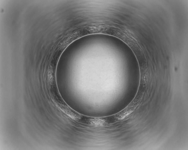 X0000059240226200510171440