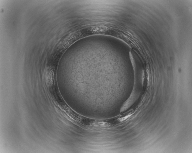 X0000059240227200510171440