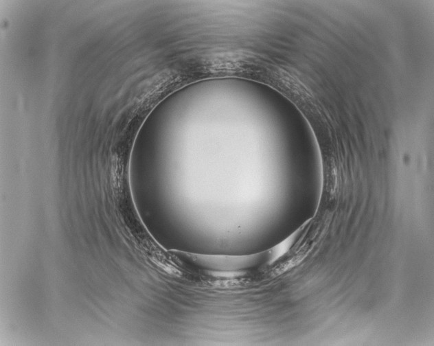 X0000059240228200510171439