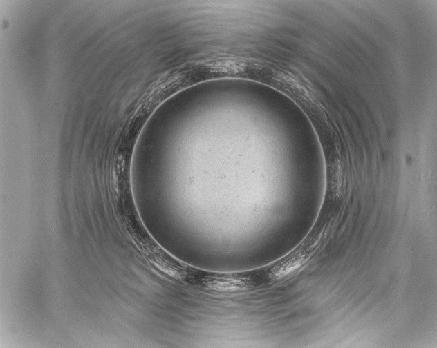 X0000059240229200510171439