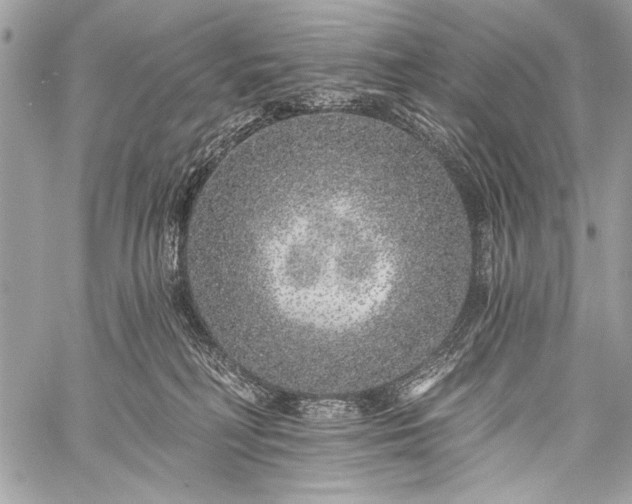 X0000059240230200510171439