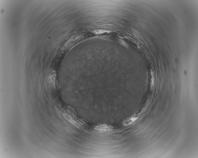 X0000059240231200510171439