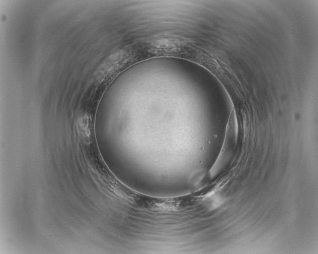 X0000059240232200510171439