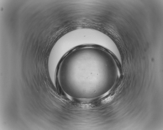 X0000059240233200510171439