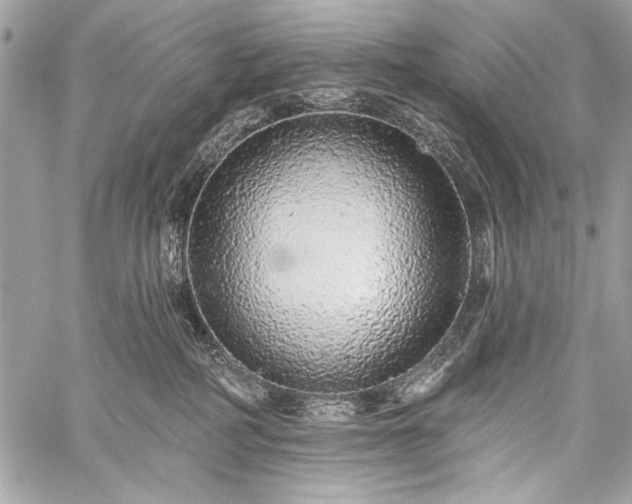 X0000059240234200510171439