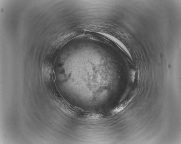 X0000059240235200510171439