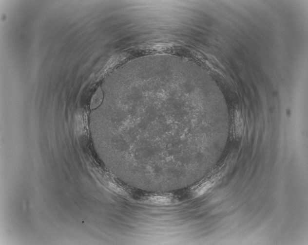 X0000059240236200510171439