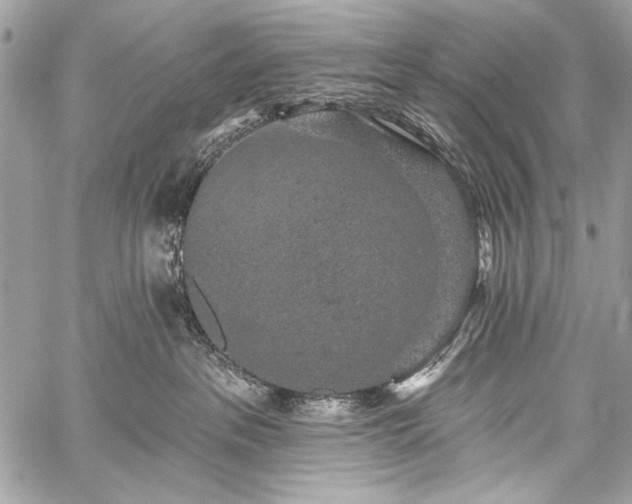 X0000059240237200510171439