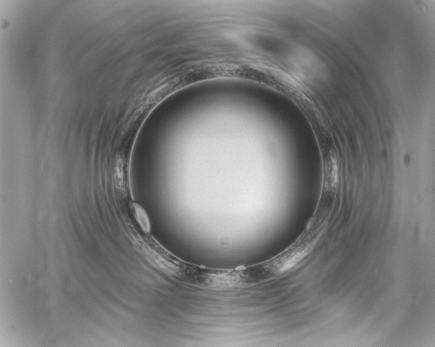 X0000059240238200510171439