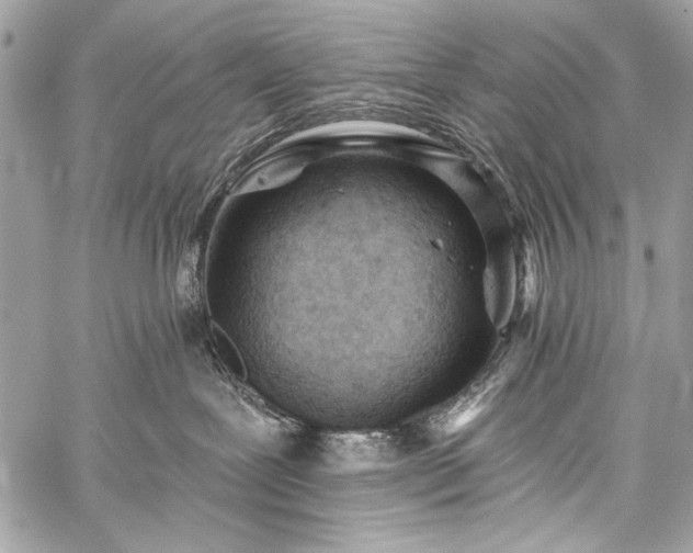 X0000059240239200510171439