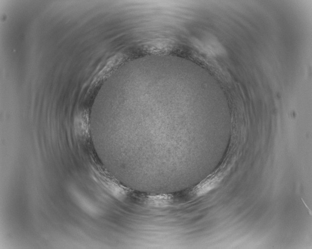 X0000059240240200510171439