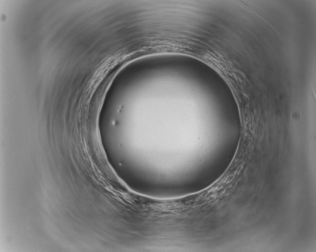 X0000059240241200510171438