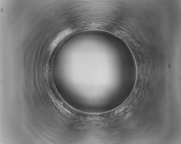 X0000059240242200510171438