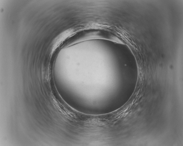 X0000059240244200510171439