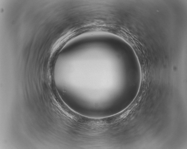 X0000059240245200510171439