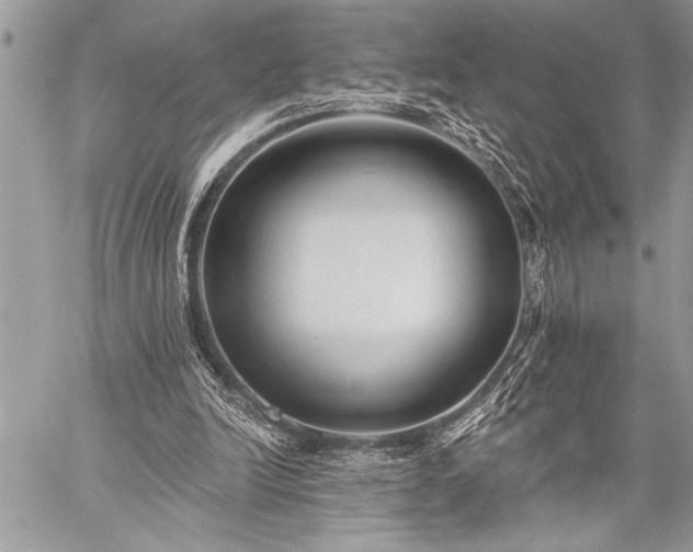 X0000059240246200510171439