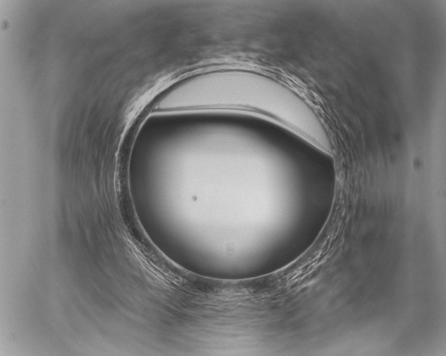 X0000059240248200510171439