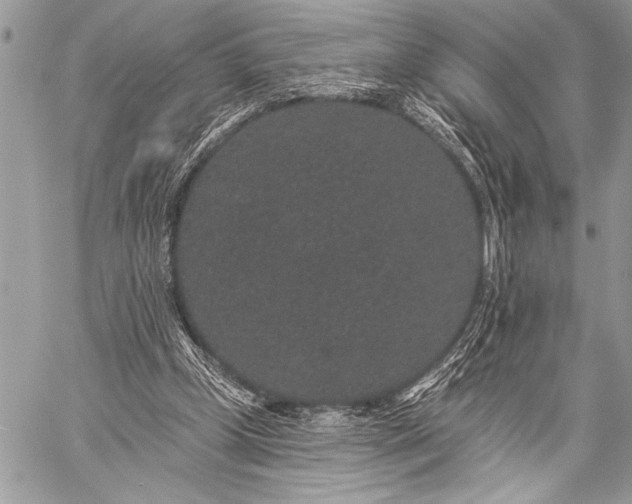 X0000059240249200510171439