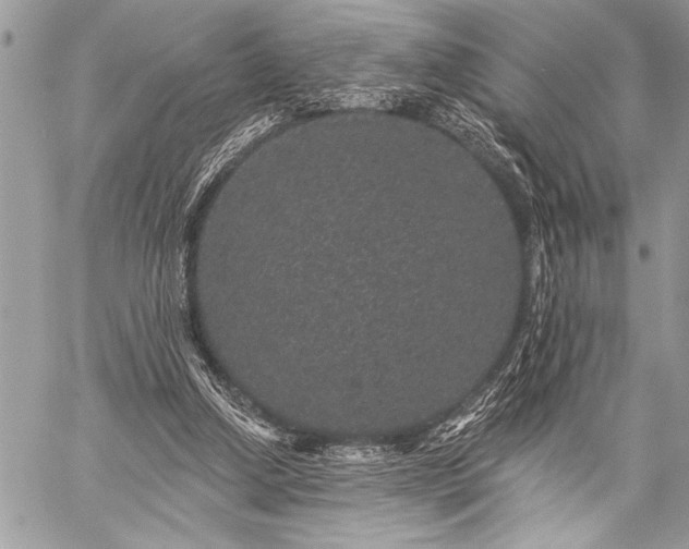 X0000059240250200510171439