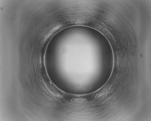 X0000059240251200510171439