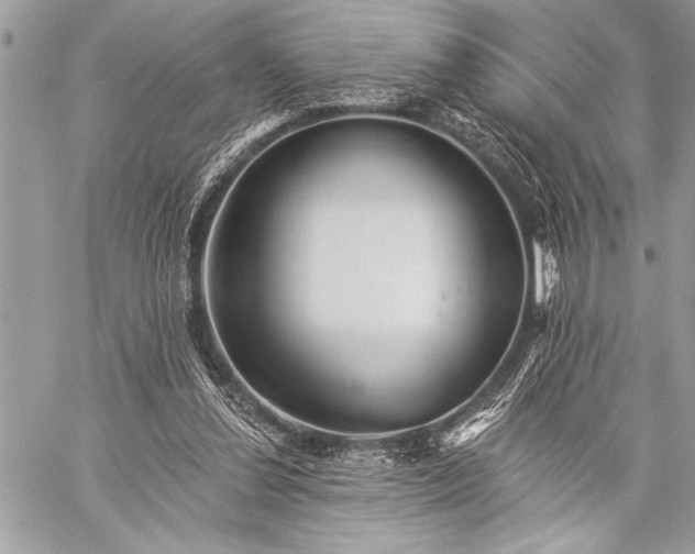 X0000059240252200510171439