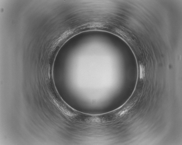 X0000059240253200510171439