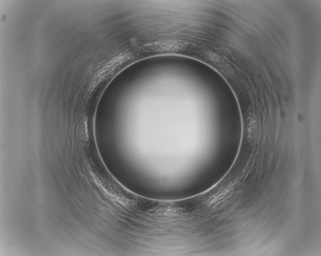 X0000059240254200510171439