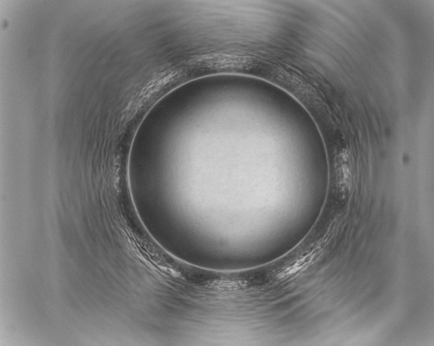 X0000059240255200510171439