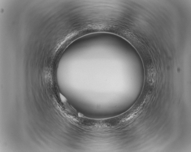 X0000059240256200510171439