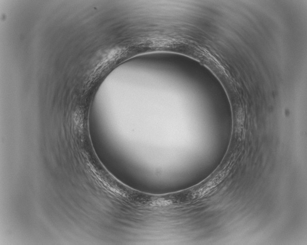 X0000059240257200510171439