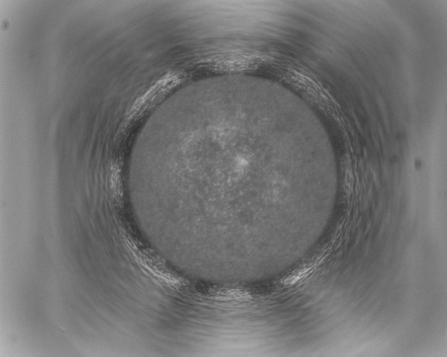 X0000059240258200510171439