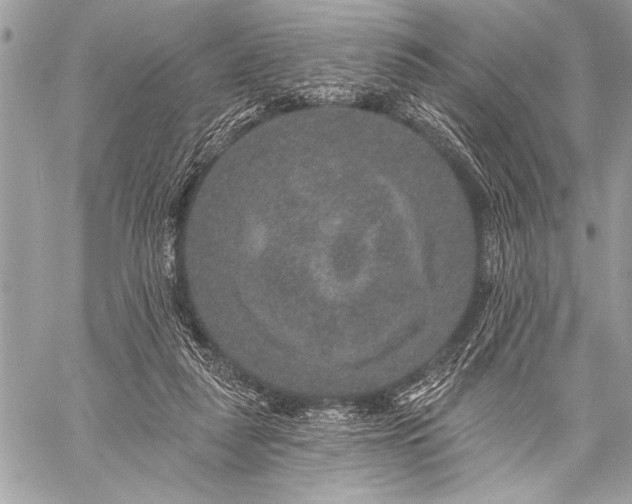 X0000059240259200510171439