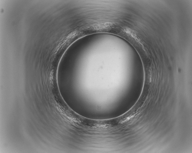 X0000059240260200510171439