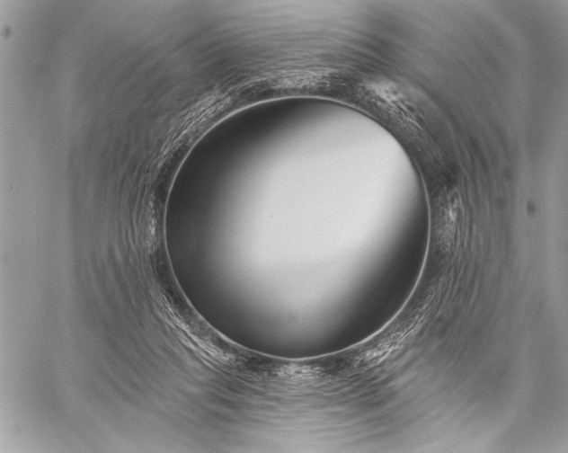 X0000059240261200510171439