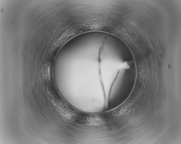 X0000059240262200510171439