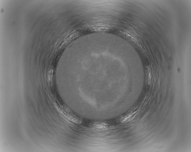 X0000059240263200510171439