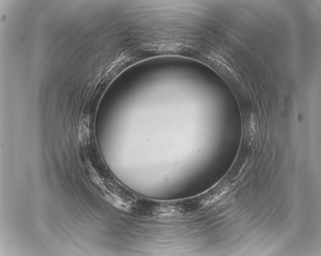 X0000059240264200510171439