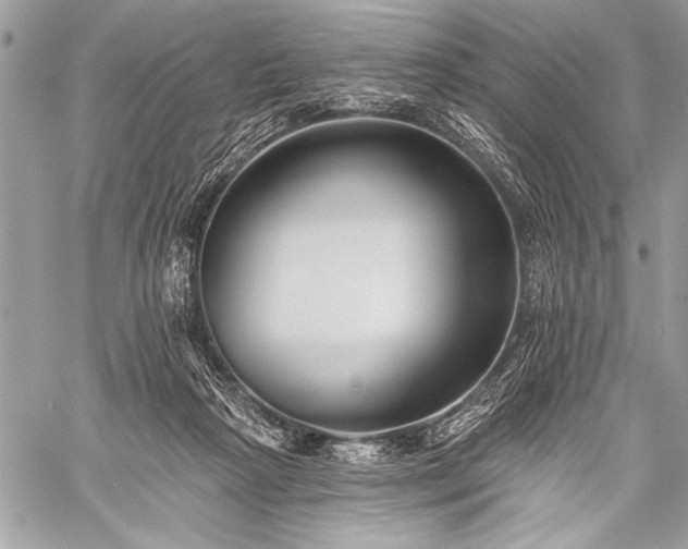 X0000059240265200510171439