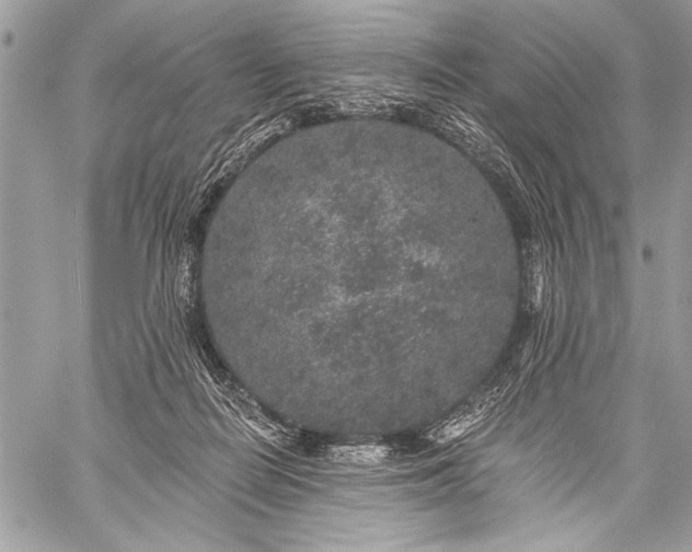 X0000059240266200510171439